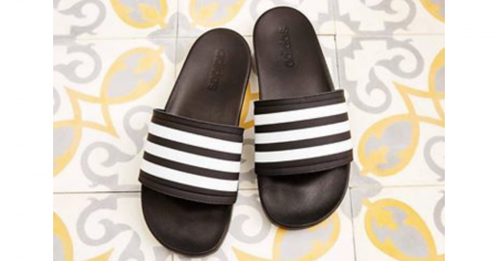 dsw main slides