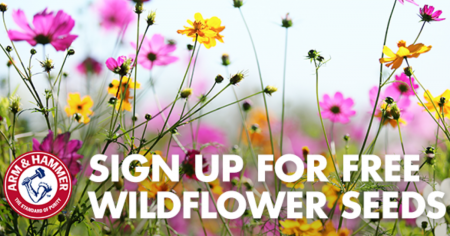 freearm hammer wildflower