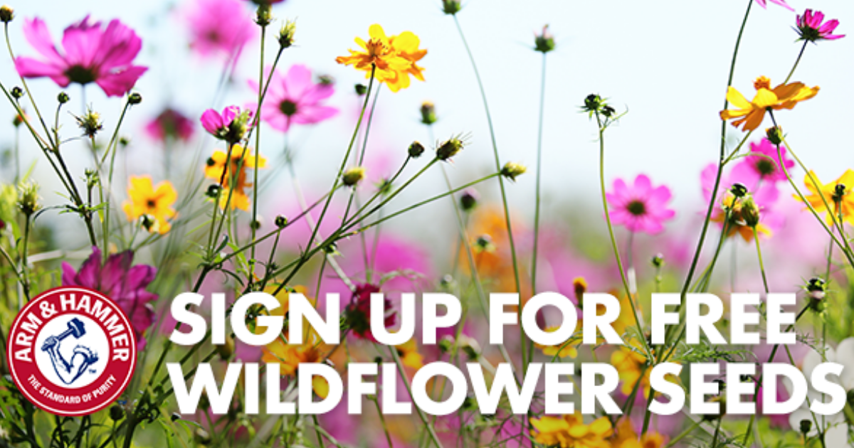 freearm hammer wildflower