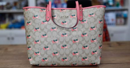 coach bag strawberries
