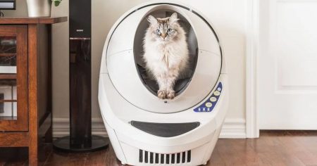 litter robot