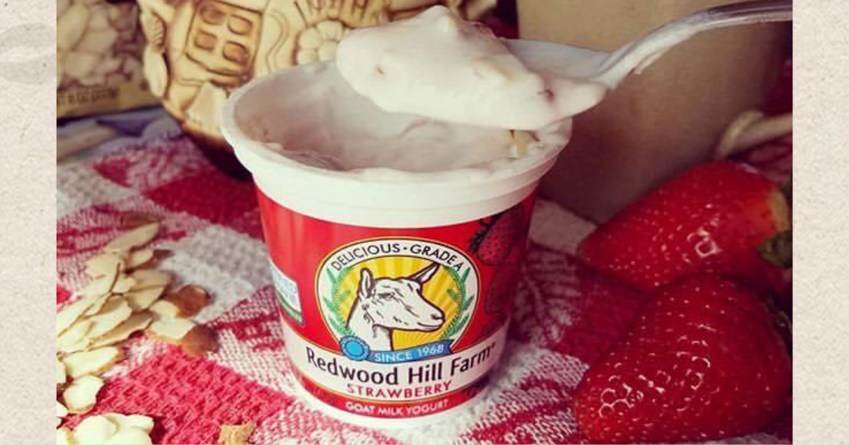 redwood yogurt