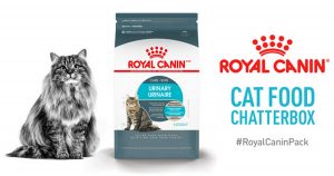 royal canin cat food