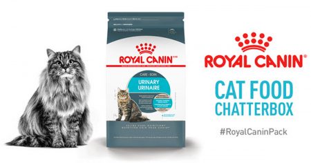 royal canin cat food