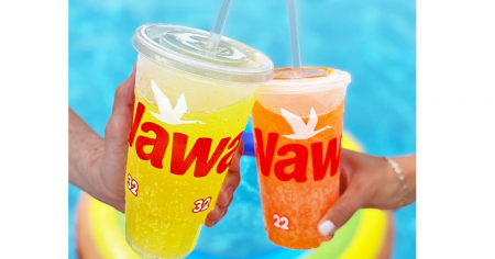 wawa fountain bev