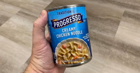 progresso creamy chicken noodle