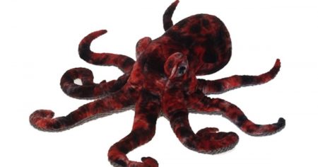 octopus