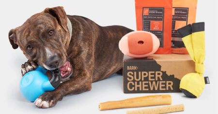 Bark Box Super Chewer