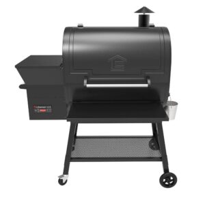lifesmart electric smokers scs p b