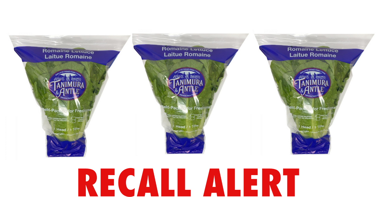 romaine recall