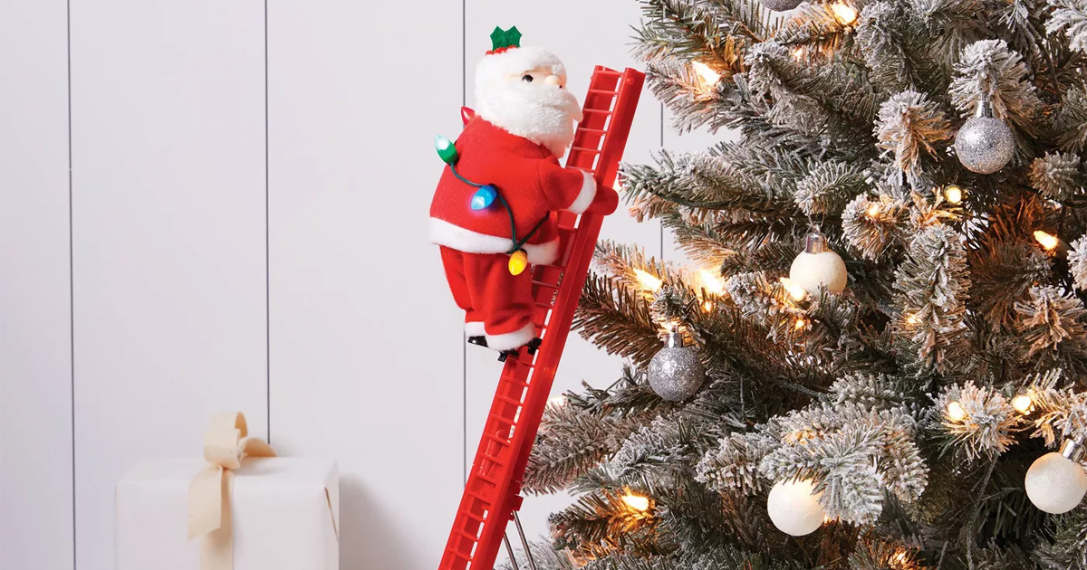Small Climbing Santa Target