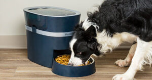 petsafe pet products