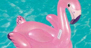infaltible flamingo