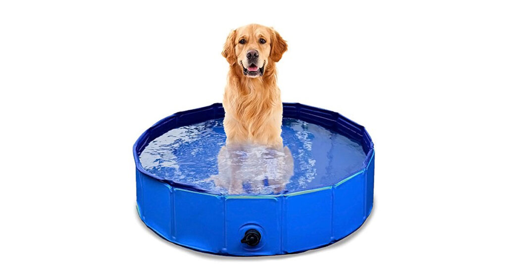 Collapsible Dog Pool