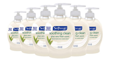 Softsoap Moisturizing Liquid Hand Soap Soothing Clean Aloe Vera Fluid Ounces Pack