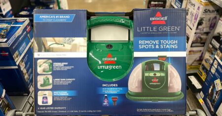 Bissell little green scaled