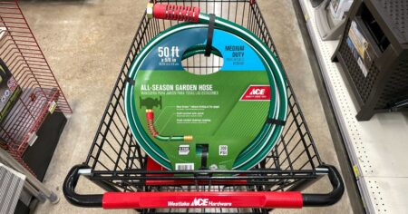 Image from iOS scaled