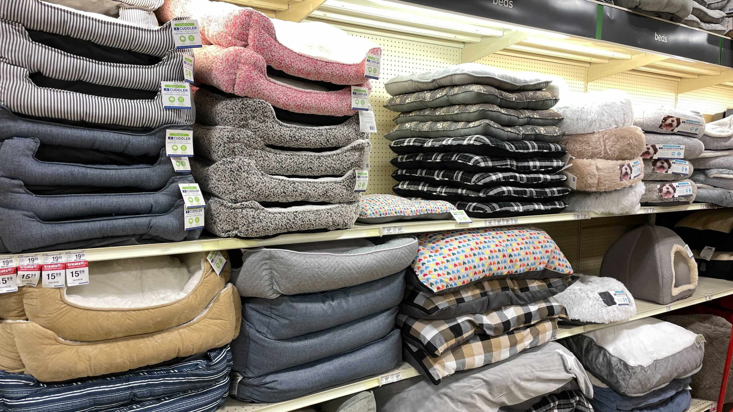 dog beds petsmart scaled