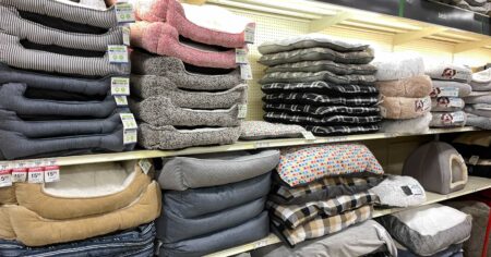dog beds petsmart scaled