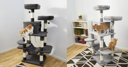 Cat Tower