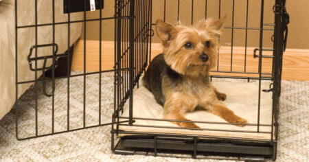KH Pet Products Self Heating Dog Crate Pad