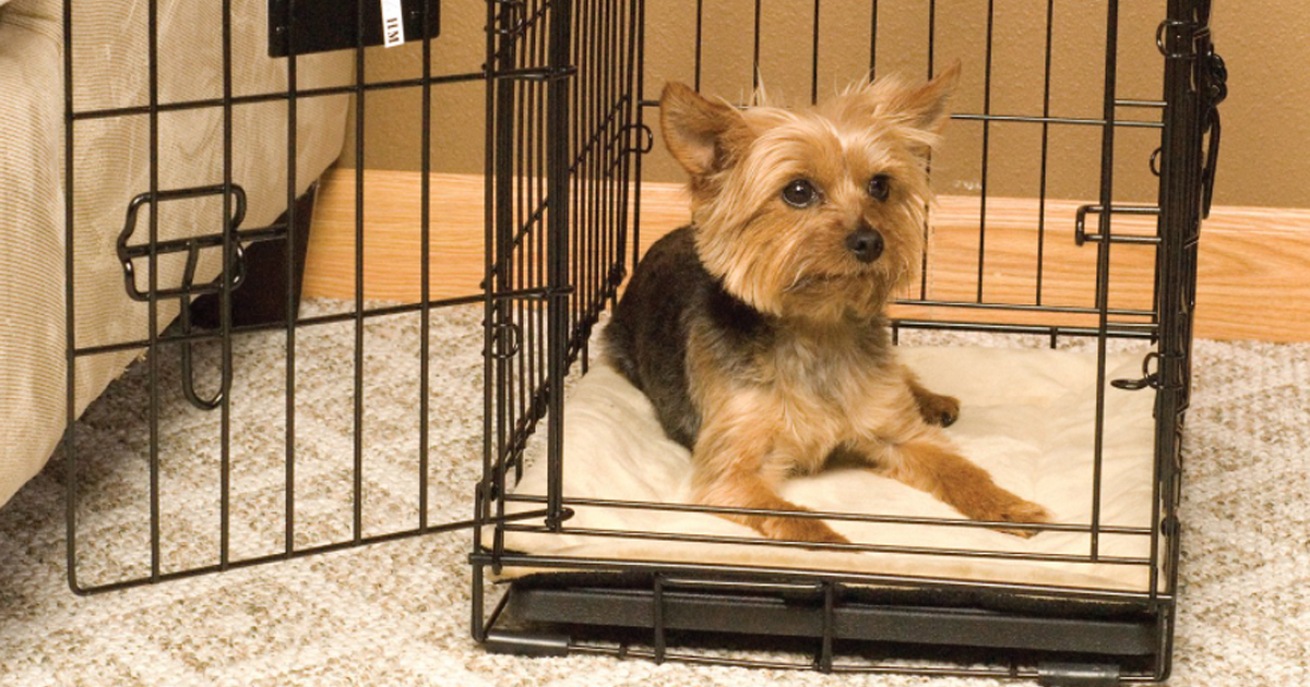 KH Pet Products Self Heating Dog Crate Pad