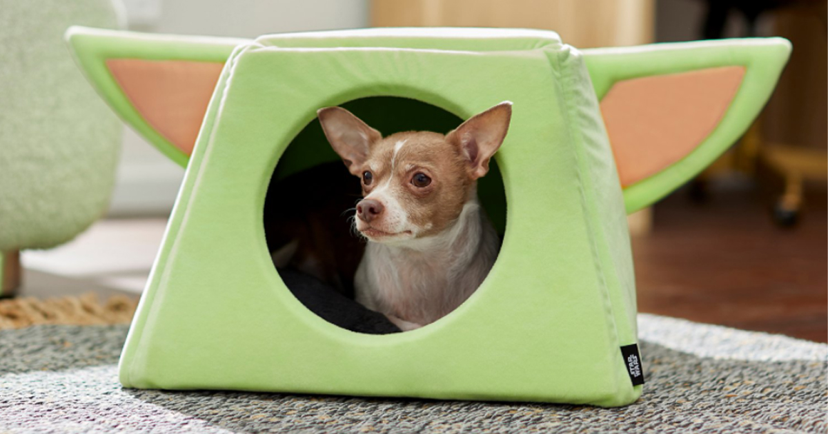 STAR WARS THE MANDALORIANS THE CHILD Covered Cat Dog Bed