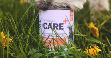 care can