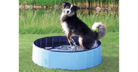 dog splash pool