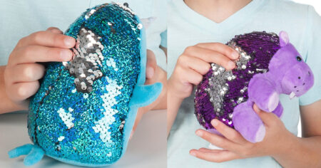 Craft Kits and Sequin Pets