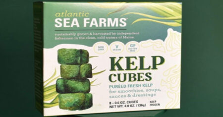 kelp cubes