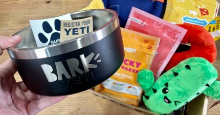 yeti barkbox scaled