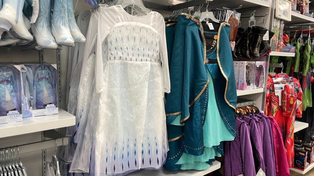 Disney Costumes x