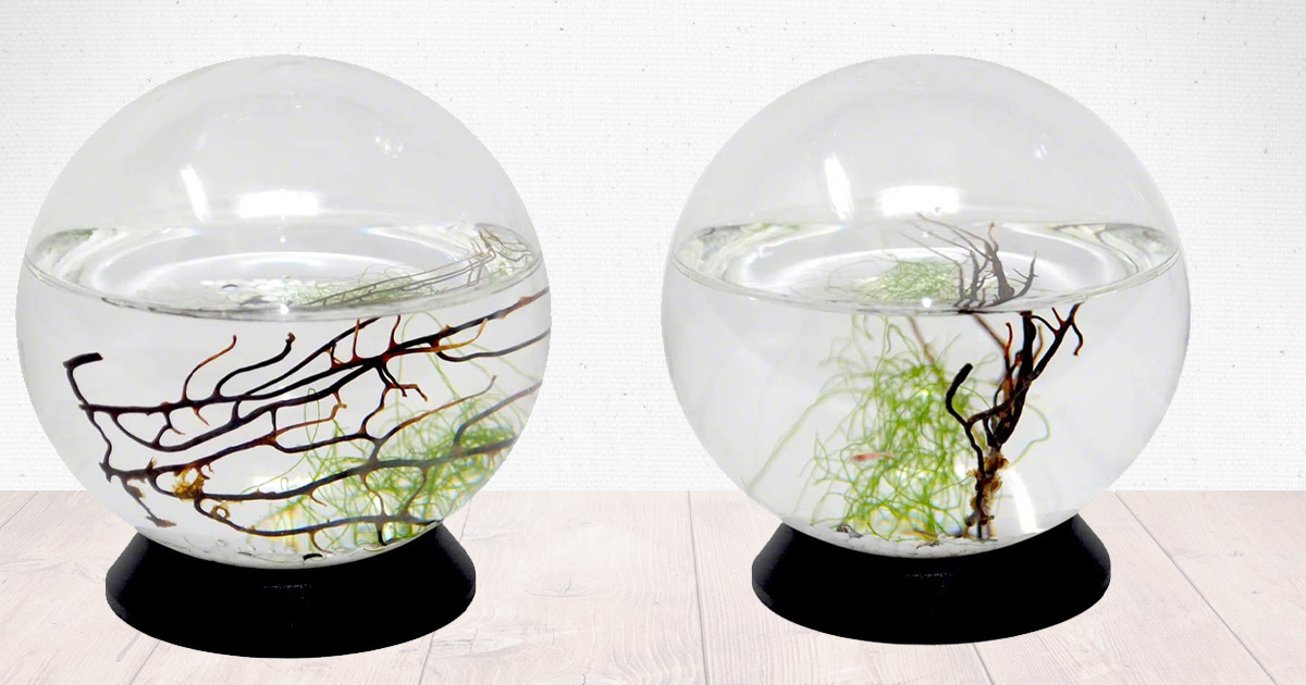 EcoSphere