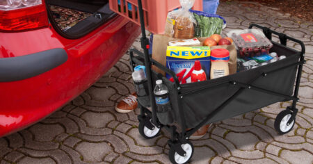 SEINA COMPACT OUTDOOR FOLDING WAGON