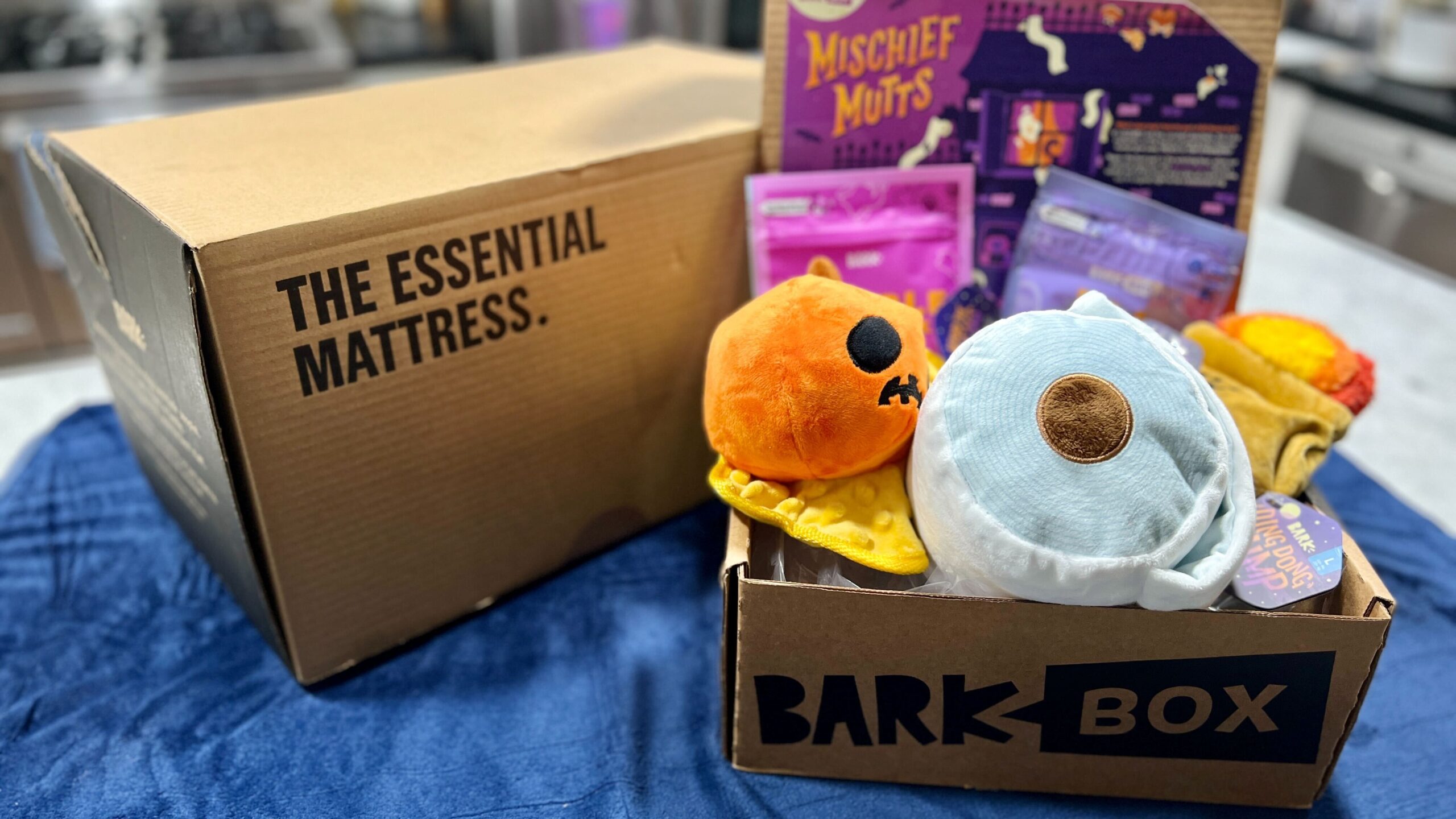 BarkBox October scaled