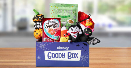 Chewy Goody Box cat
