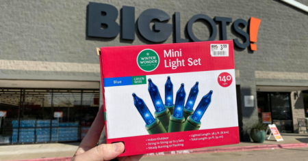 big lots mini lights