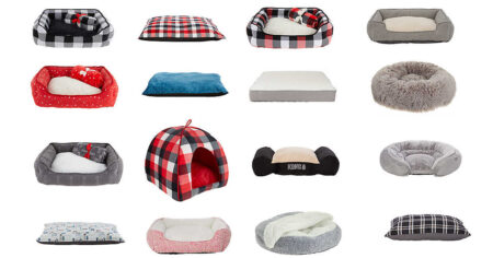 petsmart pet beds