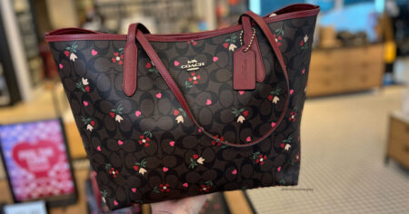 COACH VALENTINES TOTE