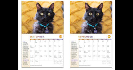 FREE ‘Rescued Calendar