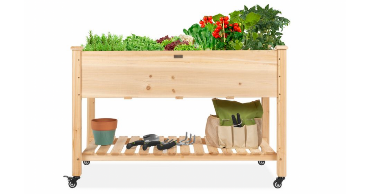 Mobile Raised Garden Bed Elevated Wood Planter w Wheels