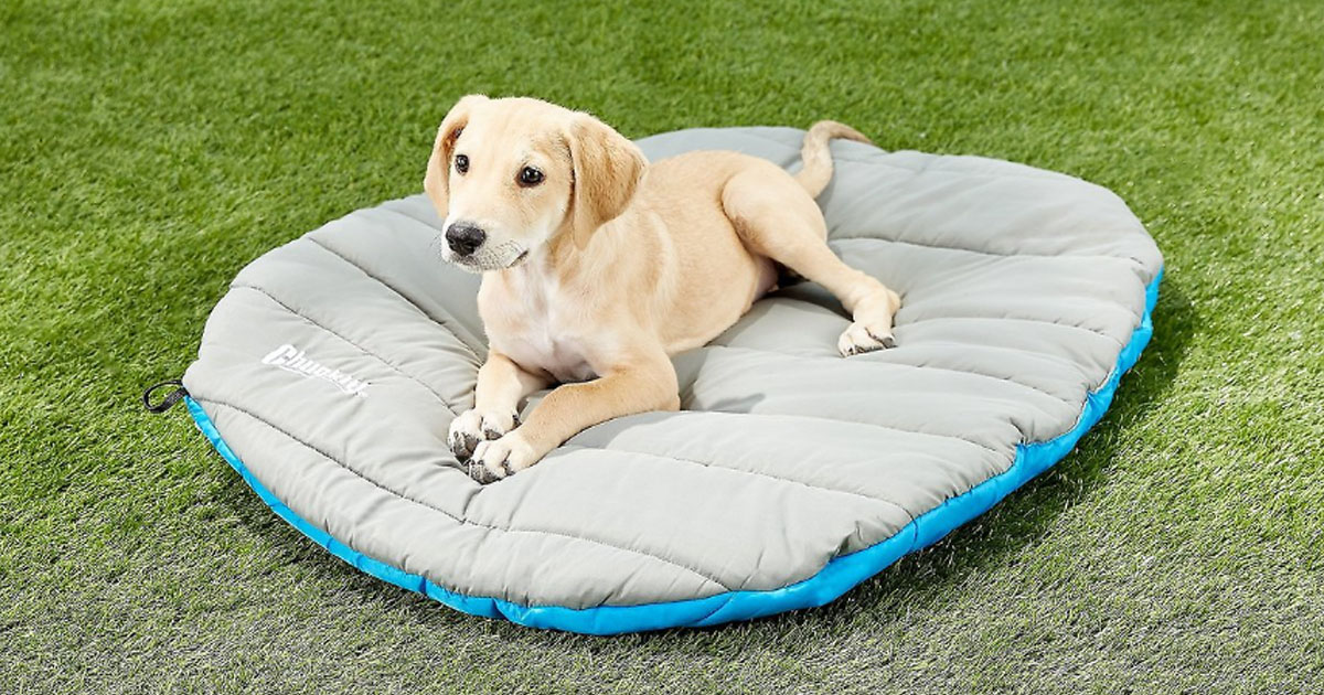 Chuckit Travel Pillow Dog Bed