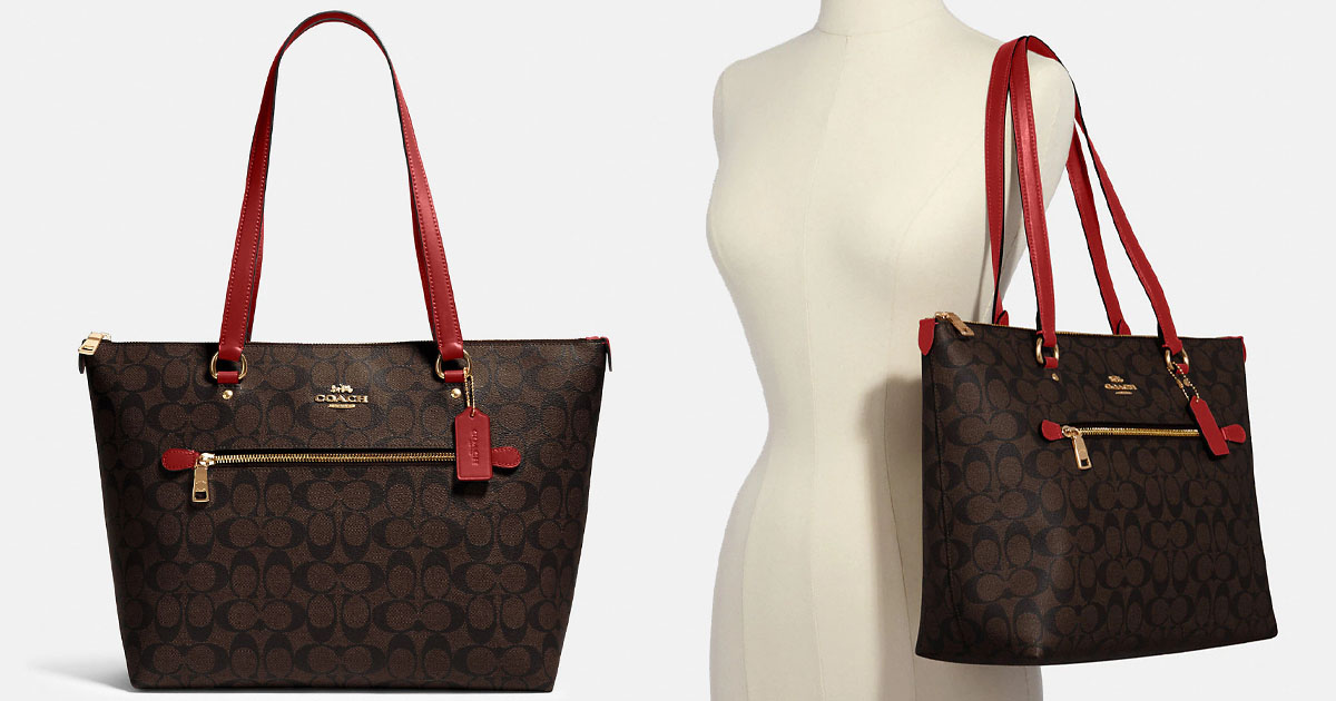 Gallery Tote In Signature Canvas