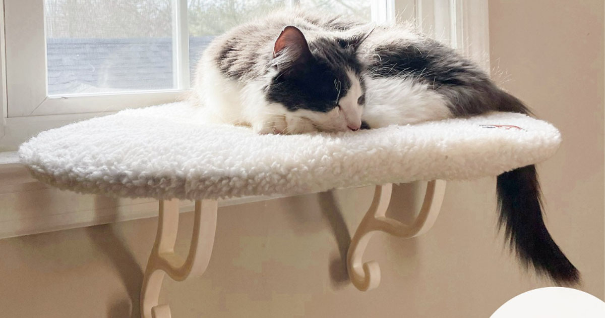 KH Pet Products Kitty Sill Cat Window Perch