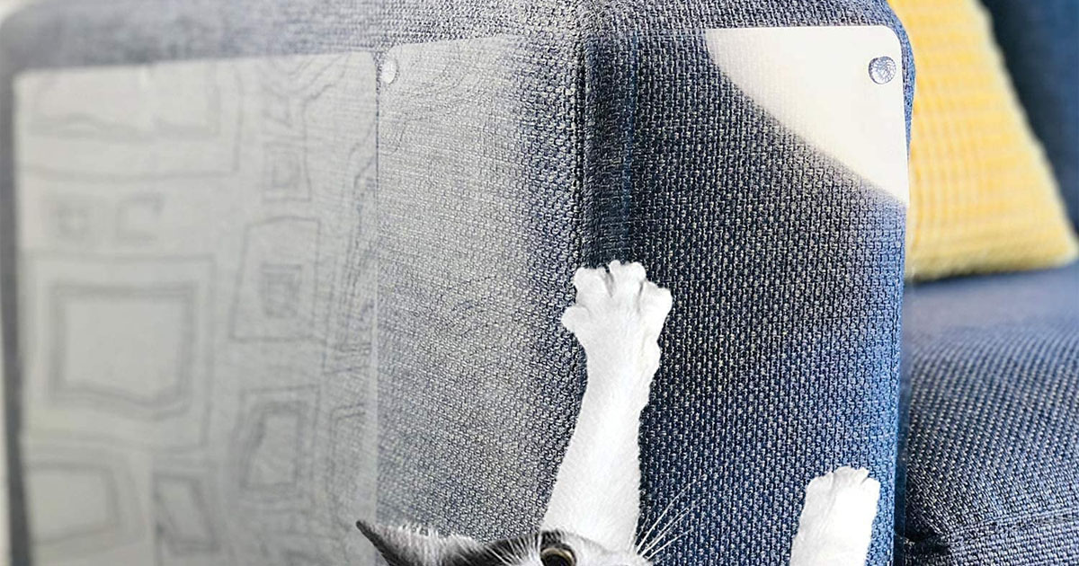 Amazing Shields Cat Scratch Deterrent