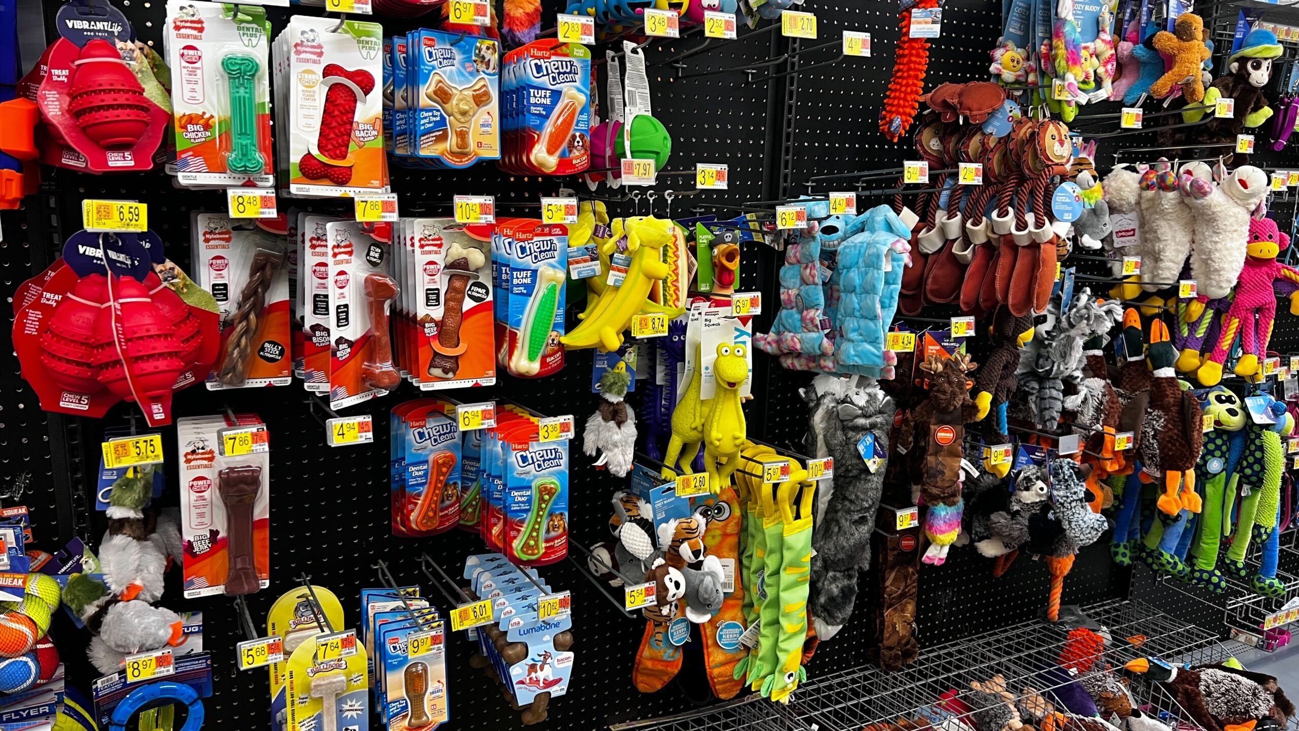 Amazon Pet Day scaled