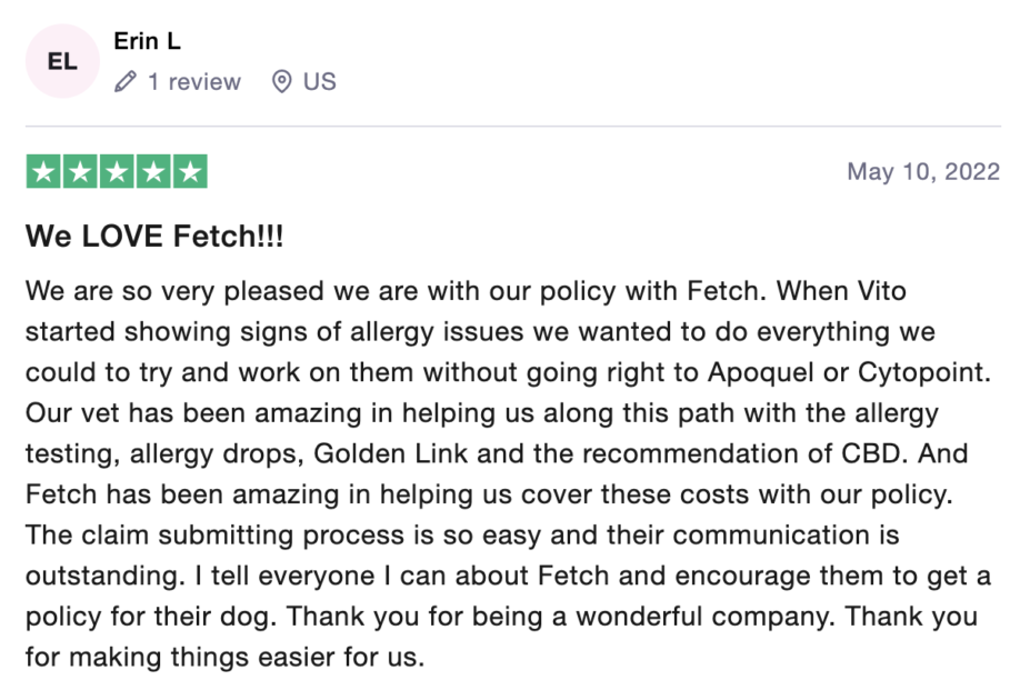 review of Fetch pet insurance