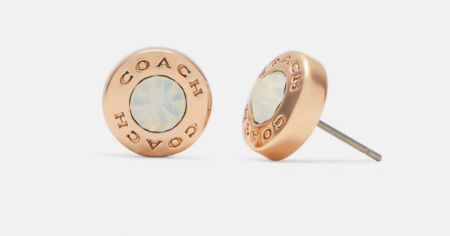 pair of coach earrings