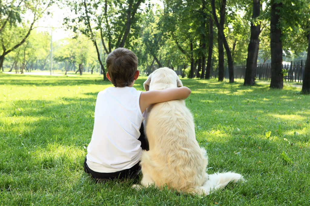 boy and a dog sitting together on a patch of grass